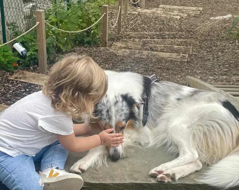 Children outdoors with dogs