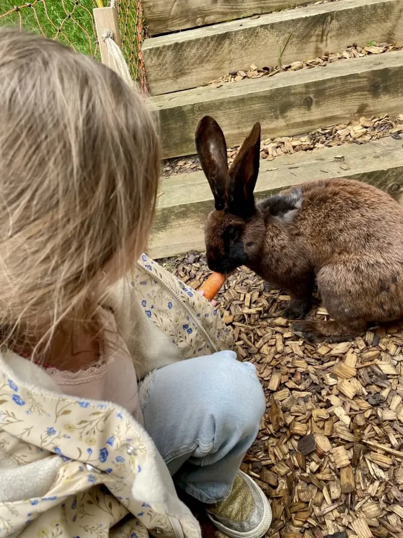 Children in nature with bunnies