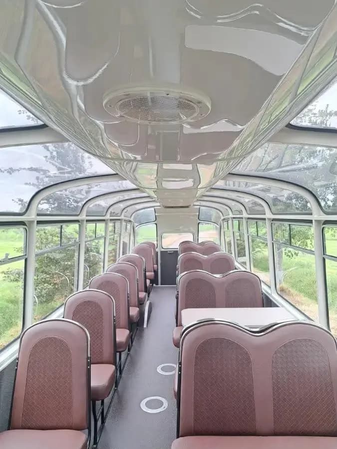 Looking up through the glass roof of the mobile classroom