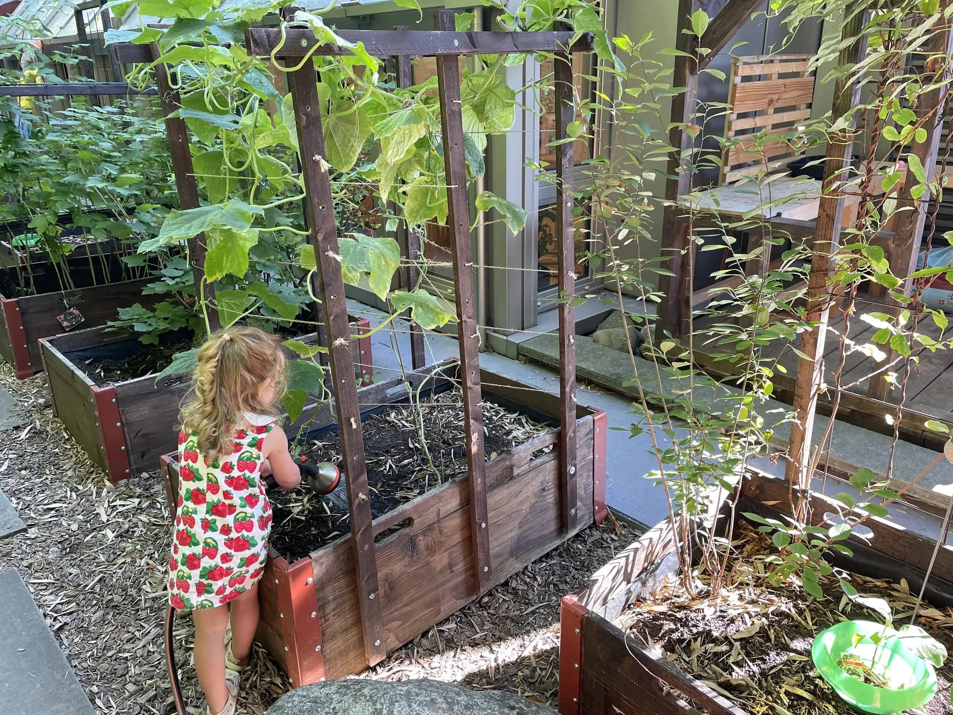 Children gardening and cooking in the outdoor kitchen