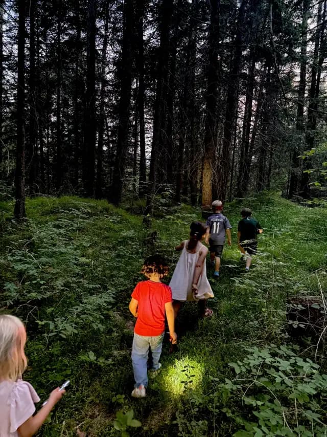 Fascination Forest