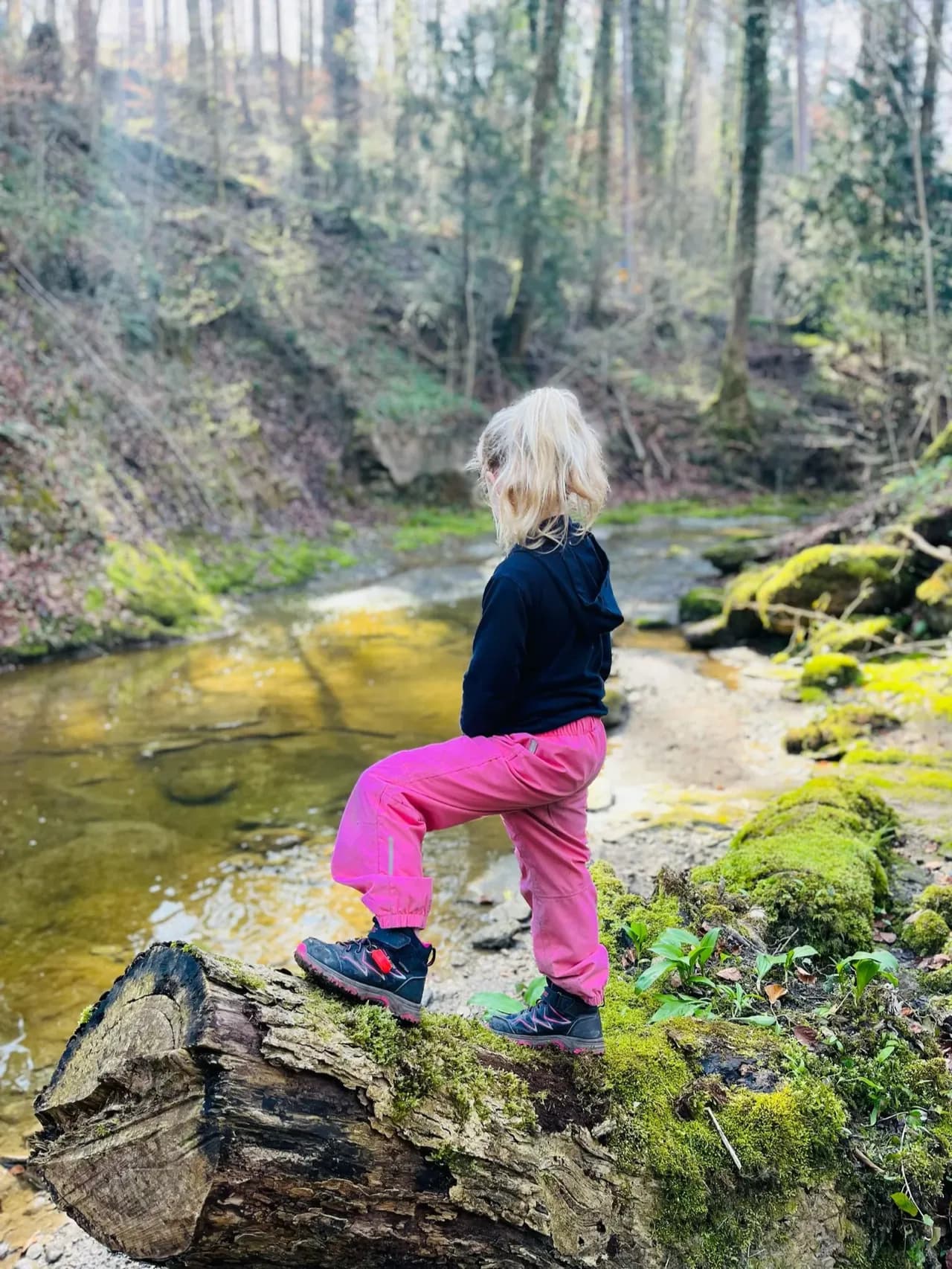 Forest School on the Doorstep